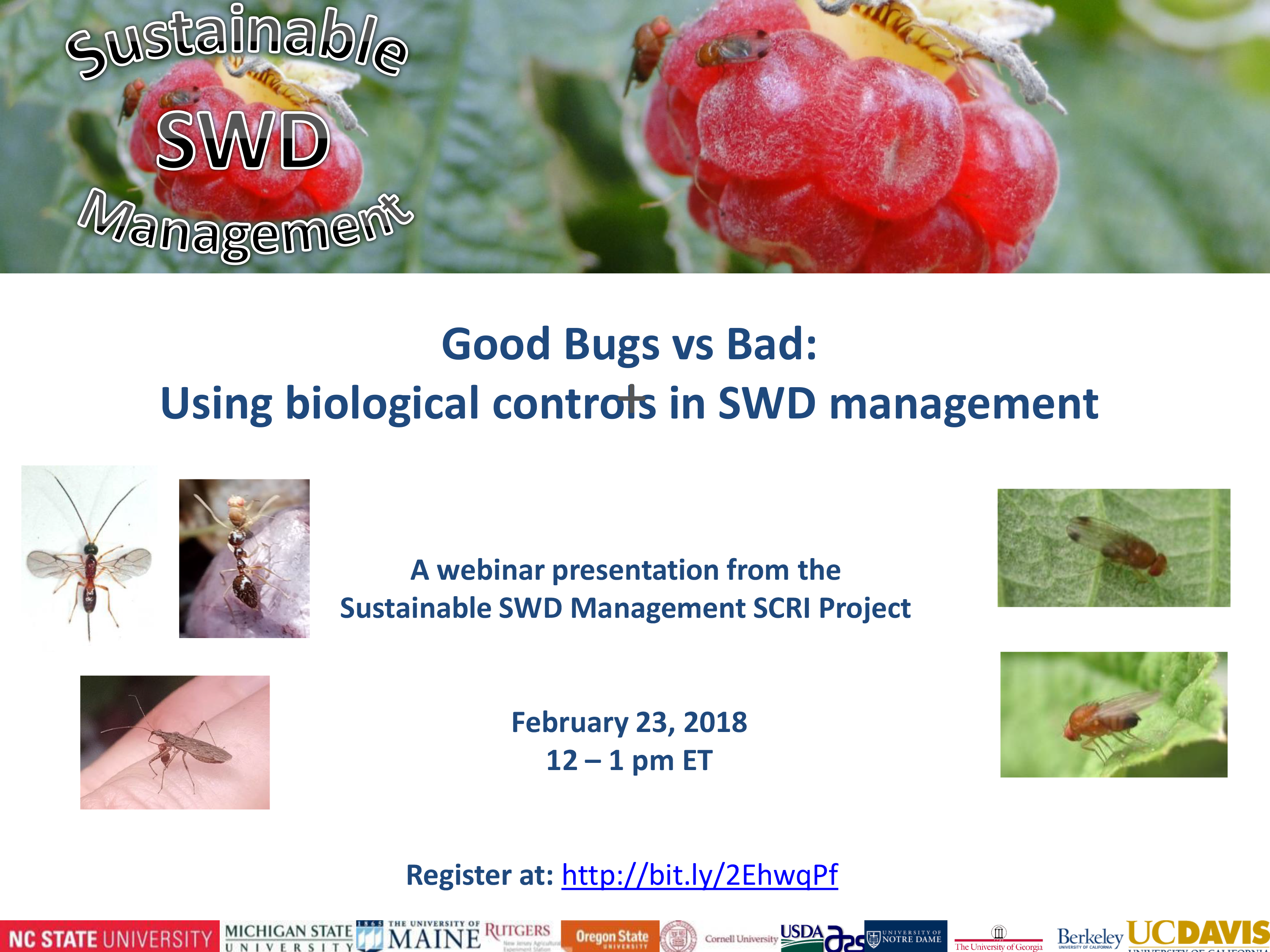 SCRI biocontrol webinar flyer-updated